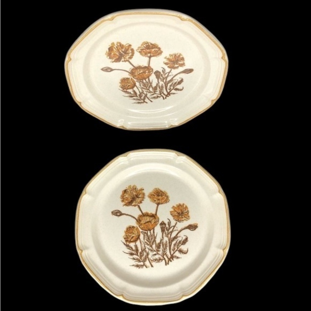 2 VTG Shenandoah Stoneware Bright Eyes by Jeannette Corp 10” Dinner Plates EUC